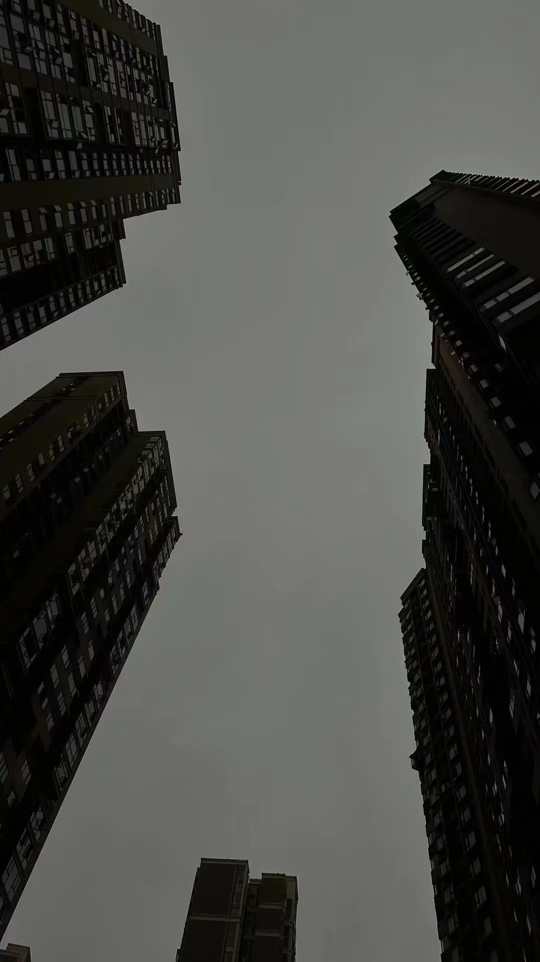 DƬ